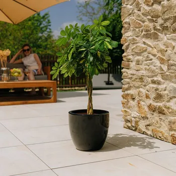 Květináč Černý keramický Květináč Provencelia 21 cm x 19 x 21 cm