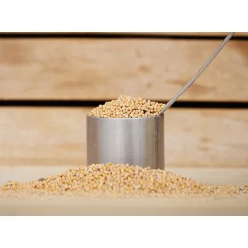 Sušená potravina Hořčičné semínko žluté 2 L