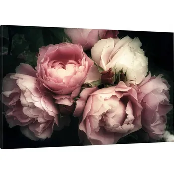 Obraz OBRAZ NA PLÁTNĚ KVĚT PIVOŇKY 70x50