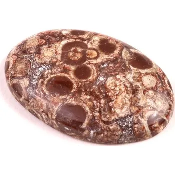 Přírodní kámen Kabošon Orbicular Jasper č.7352 (35x23x6mm)