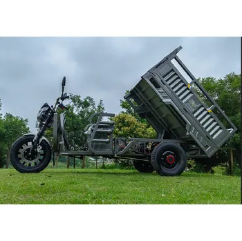 Elektrotříkolka Zethos Zethos PRACOVNÍ TŘÍKOLKA RIKŠA CARGO KUTIL - 2025 58 Ah zelená