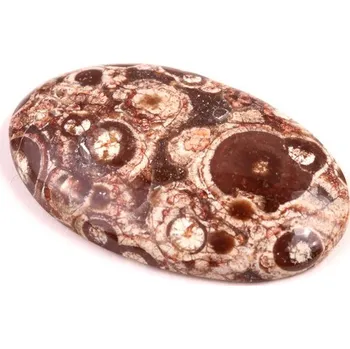 Sběratelství Kabošon Orbicular Jasper č.7340 (37x23x6mm)