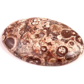 Přírodní kámen Kabošon Orbicular Jasper č.7339 (35x22x6mm)