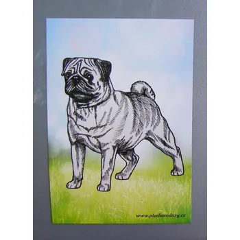 Dekorativní magnet Magnetka - mops