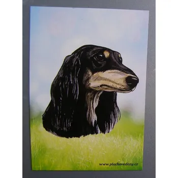 Dekorativní magnet Magnetka - saluki