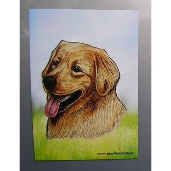 Dekorativní magnet Magnetka - hovawart