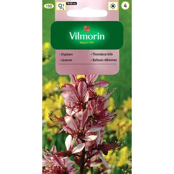 Semeno Třemdava bílá (růžová, Mojžíšův keř) 10/2025