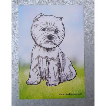 Dekorativní magnet Magnetka - westík