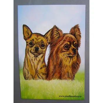 Dekorativní magnet Magnetka - čivavy