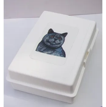 Dóza na potraviny Plastový box velký s britskou kočkou (objem 2,4 l)