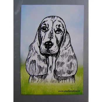 Dekorativní magnet Magnetka - angl. kokršpaněl