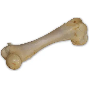 Pamlsek pro psa Trixie Vepřová kost bílá - extrudovaná 1 ks/17 cm