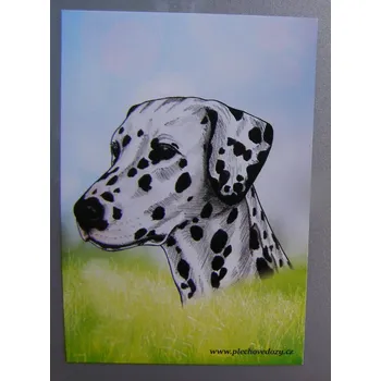 Dekorativní magnet Magnetka - dalmatin