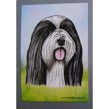 Dekorativní magnet Magnetka - bearded kolie