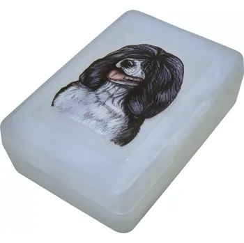 Dóza na potraviny Portugalský vodní pes - plastový box (objem 0,9 l / 1,2 l)