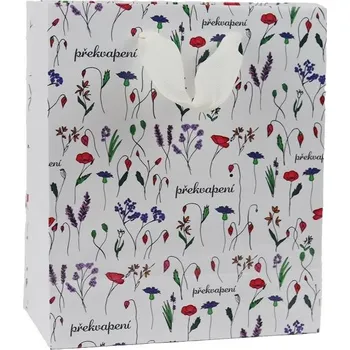 Dárková taška Taška papír dárková Překvapení 18x10x23 cm