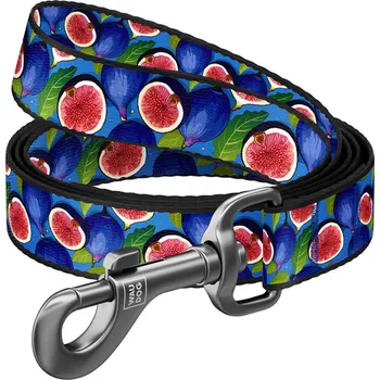 Vodítko pro psa WAUDOG vodítko nylon Fíky (S/122cm/1,5cm)