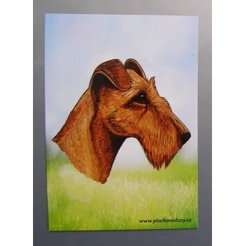 Dekorativní magnet Magnetka - irský teriér