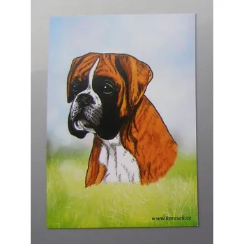 Dekorativní magnet Magnetka - boxer zlatý