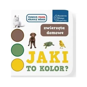 První čtění Jaki to kolor? Zwierzeta domowe - opracowanie zbiorowe