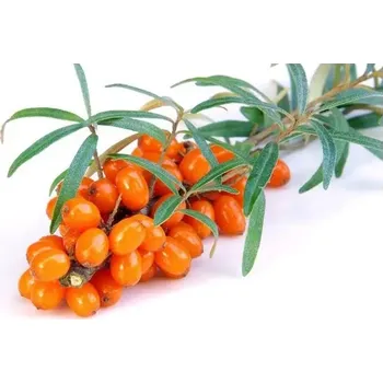 Koření Horňácká farma Rakytník sušený - na čaj, 10 g