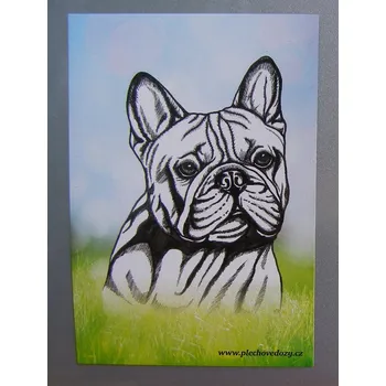 Dekorativní magnet Magnetka - buldoček