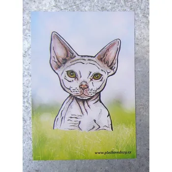 Dóza na potraviny Magnetka - devon rex