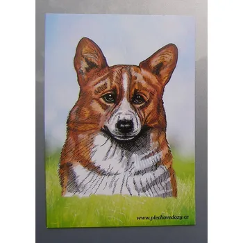 Dekorativní magnet Magnetka - velškorgi