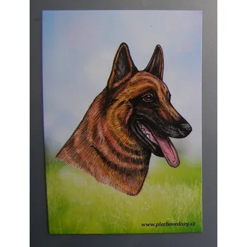 Dekorativní magnet Magnetka - malinois
