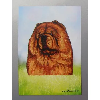 Dekorativní magnet Magnetka - čau-čau