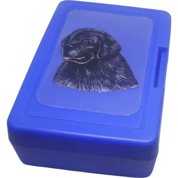 Dóza na potraviny Novofundlanďan - plastový box (objem 0,9 l / 1,2 l)