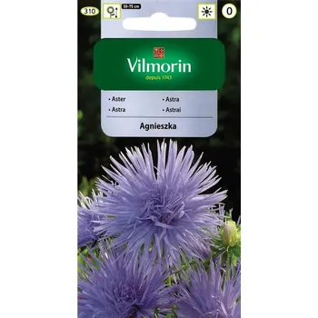 Semeno Astra čínská jehlicovitá Agnieszka (světle fialová) 10/2025