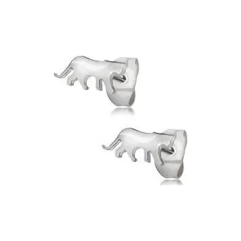 Náušnice Ocelové náušnice kočičky