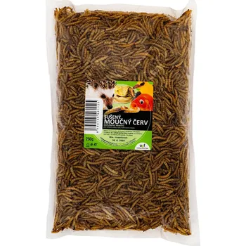Teraristika Underground Food Sušený moučný červ