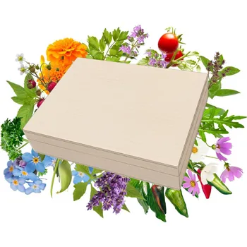 Top semínka v dřevěné krabičce - dárková sada