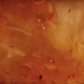 Planto Besto s.r.o. Madam Kim Chi BIO 5 kg