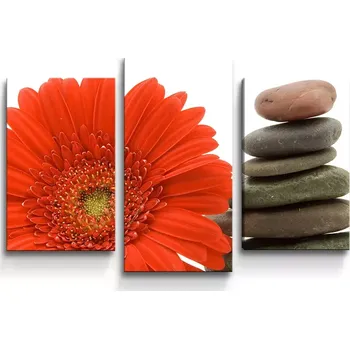 Obraz Sablio Obraz - 3-dílný Gerbera s kameny - 75x50 cm
