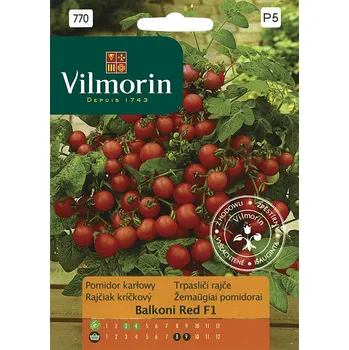 Semeno Vilmorin Trpasličí rajče Balconi Red F1 60 ks