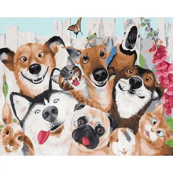 Malování podle čísel iPicasso 40x50 cm na rámu