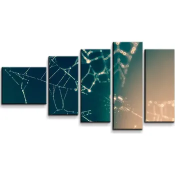 Obraz Sablio Obraz - 5-dílný Pavučina - 100x60 cm