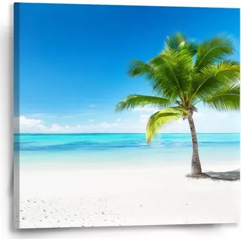 Obraz Sablio Obraz Palma na pláži - 50x50 cm