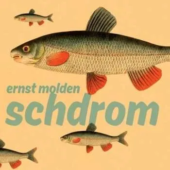 Zahraniční hudba LP/CD Ernst Molden: Schdrom 2016 180g