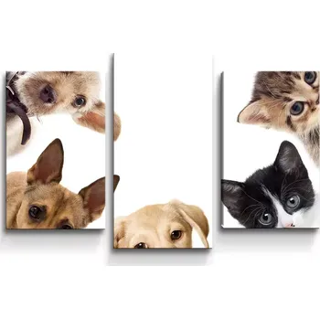 Obraz Sablio Obraz - 3-dílný Štěňátka a koťátka - 75x50 cm