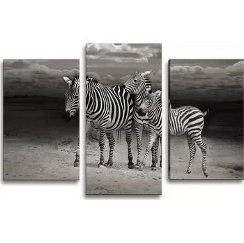 Obraz Sablio Obraz - 3-dílný Zebry - 75x50 cm