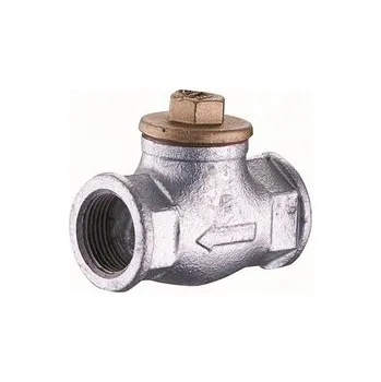 Ventil Zpětný ventil KFA Armatura 2'' 192-010-50