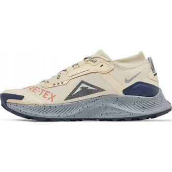 Pánská běžecká obuv Pánské sportovní boty s Membrána Nike Pegasus Trail 3 GTX DC8793-200, vel. 44