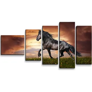 Obraz Sablio Obraz - 5-dílný Friský kůň - 100x60 cm