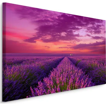 Obraz Obraz do obýváku Levandulové pole PROVENCE 3D 70x50 cm