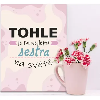 Plechová cedule Sablio Dárková cedulka Tohle je ta nejlepší sestra na světě: 30x40 cm