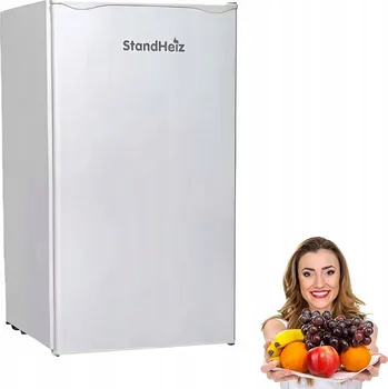 Chlazení Jednodveřová chladnička Ravanson LKK-90ES stříbrná/šedá